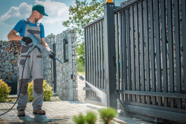 Best Gutter Cleaning  in Moville, IA