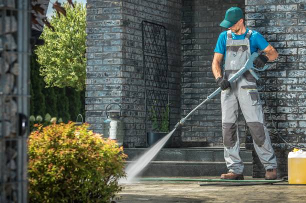 Best Roof Washing  in Moville, IA